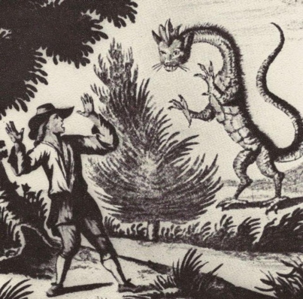 Datei:Tatzelwurm.jpg