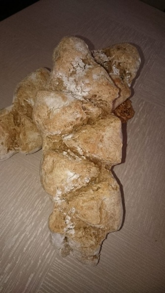 Datei:Dinkel-Roggen-Ähre.jpg
