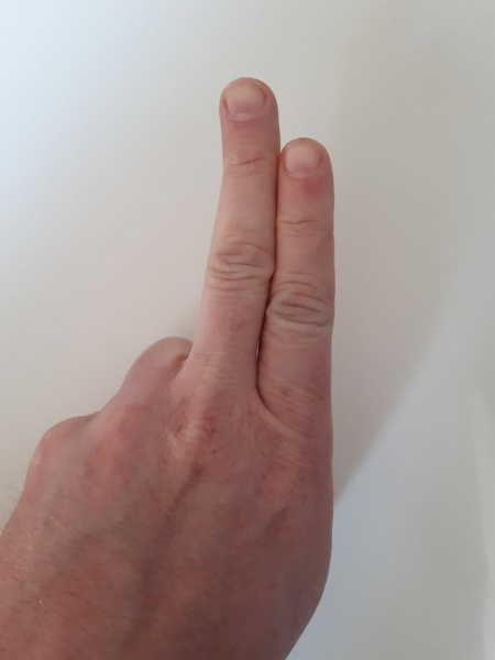 Datei:Schnick dg.jpeg